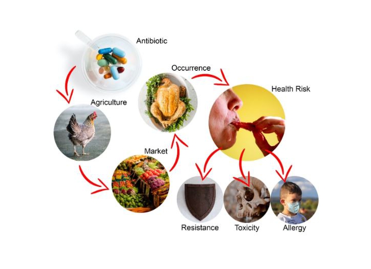 Antibiotic residue –The footprint in our food