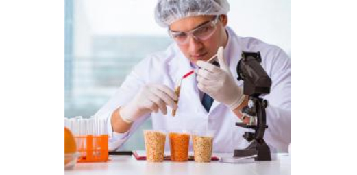 South Africa Food Safety Testing Market is Expected to grow at a 10.4 CAGR by 2025