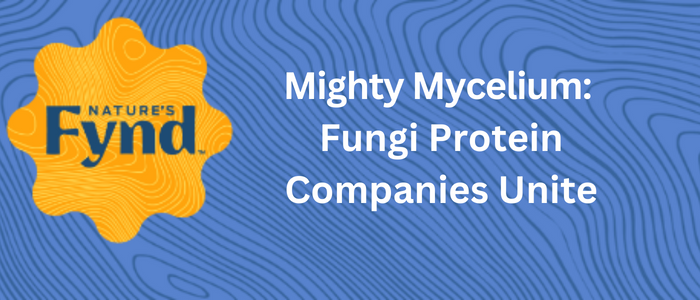 Mighty Mycelium: Fungi Protein Companies Unite