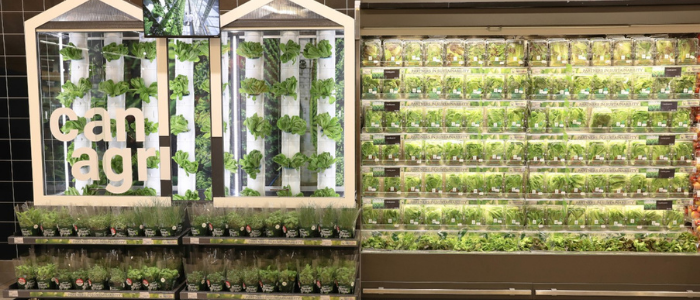 Pick 'n Pay becomes SA’s first supermarket growing in-store vertical farms