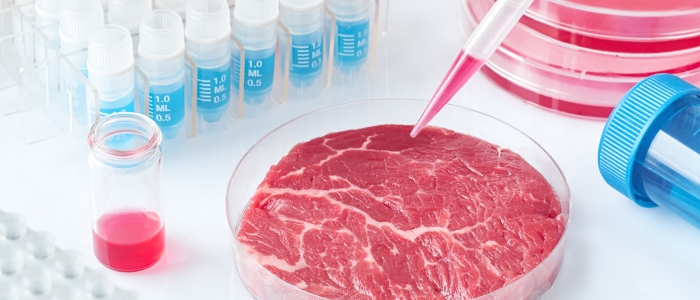 APAC Cellular Agriculture Stakeholders agree on the use of the term “cultivated meat