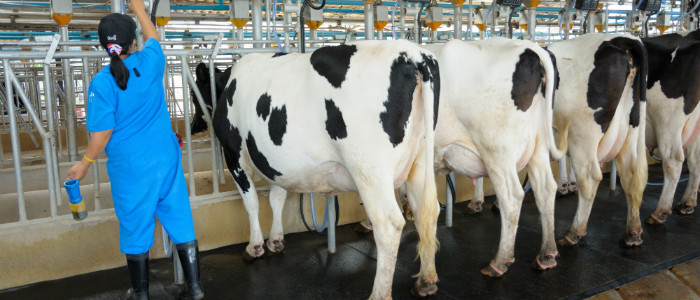 Industry Guideline : Control of Listeria Monocytogenes for the South African Dairy Industry