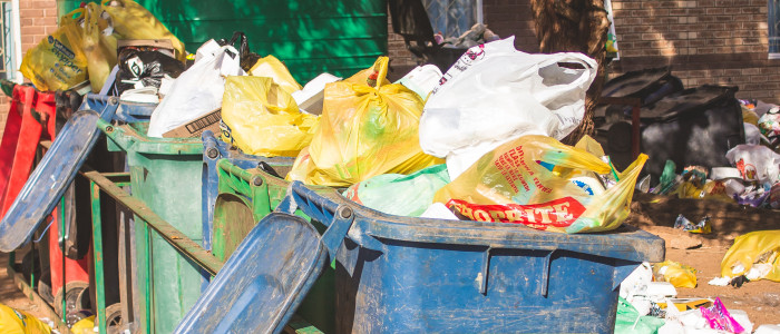 Food waste and loss is everyone’s responsibility – and needs to be addressed with urgency