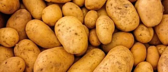 Big Potato Fraud Exposed in Bulgaria