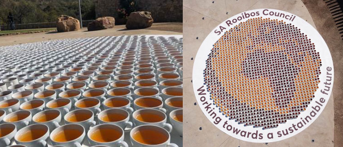 Rooibos industry pledges continued commitment to sustainability