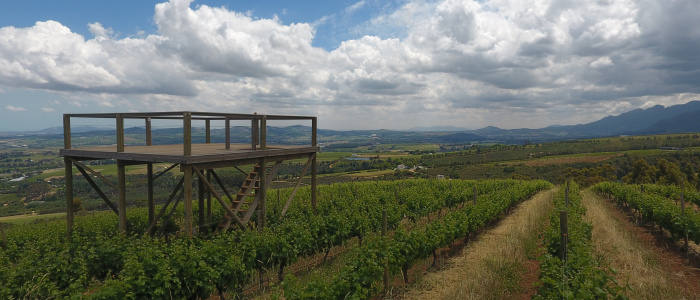 From sustainability to regeneration: The wine industry’s revitalising journey